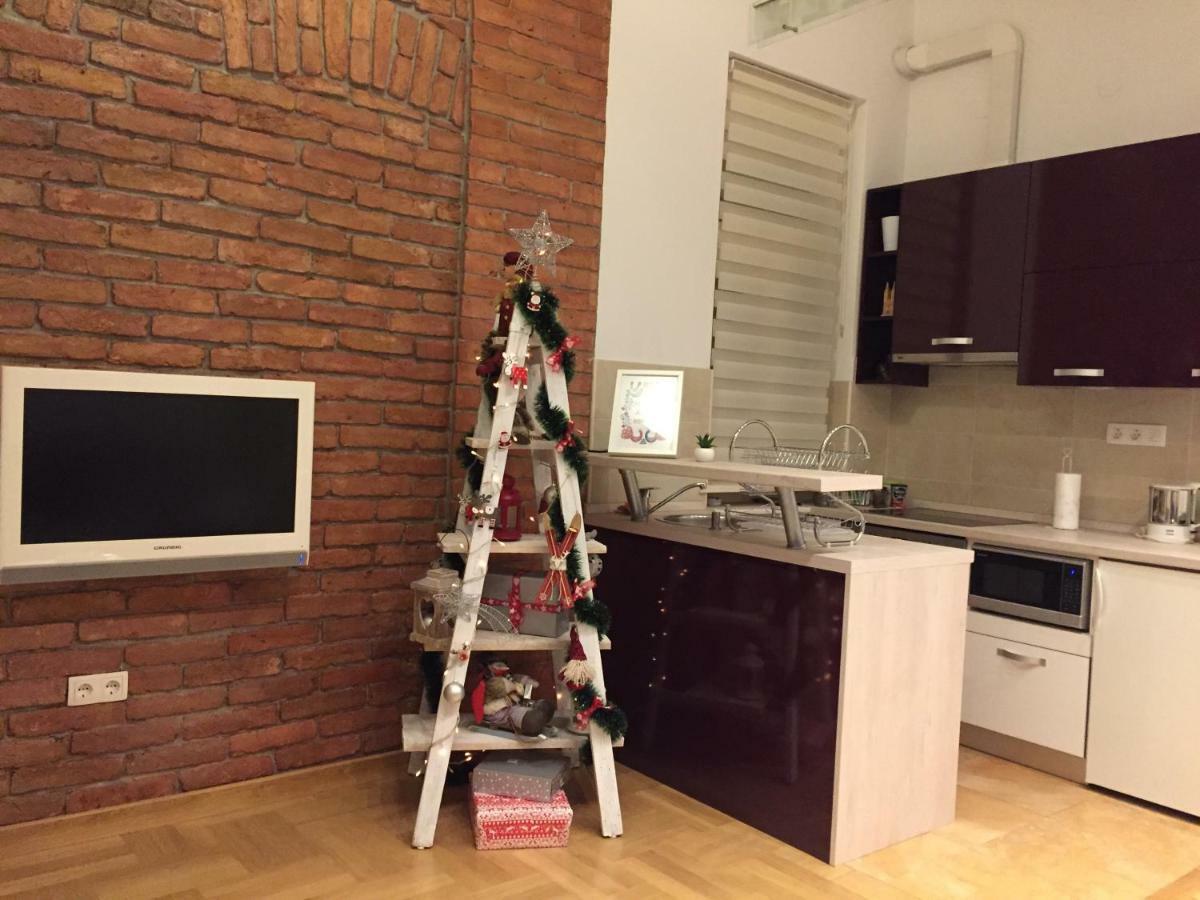 Clyra Apartment City Centar ซาเกร็บ ภายนอก รูปภาพ